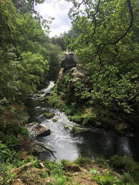 Río Umia entre rocas y árboles en el entorno de Segade